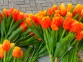 Wooden tulips in the shop in Volendam