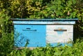 Wooden Ukrainian Blue Beehives. Natural Beekeeping in Your Backyard. Dadant bee hives. Royalty Free Stock Photo