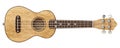 Wooden ukulele Front view 3D Royalty Free Stock Photo