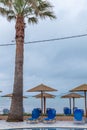 Wooden umbrellas screening the sun rays. Lazy portable chairs facing the pool and the ocean. Palm tree standing in between. Resort