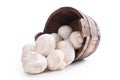 Wooden vat mushrooms