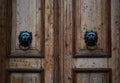 Wooden Vintage Brown Door Lion Knocks