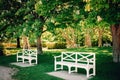 Vintage art white wooden bench in park under blooming chestnut trees.