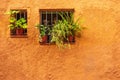 A wooden vintage window on a plastered stone wall in the Spanish style. Royalty Free Stock Photo