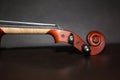 Wooden violin head in brown color Royalty Free Stock Photo