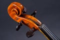 Wooden violin head Royalty Free Stock Photo