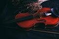 The wooden violin put beside dried flower,on grunge surface background Royalty Free Stock Photo