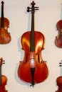 Wooden violins hanging on the wall Royalty Free Stock Photo