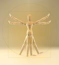 Wooden Vitruvian manikin. Puppet concept. Wood dummy. Wooden man. Royalty Free Stock Photo