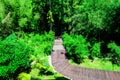 Wooden Walk Curve Way in The Forests Royalty Free Stock Photo