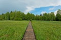 Wooden walk to Chalupska slat