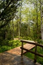 Wooden walk to Chalupska slat