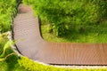 Wooden walk way in the forest. Royalty Free Stock Photo