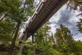 Wooden walk way over a path in the forest Royalty Free Stock Photo