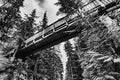 Wooden walk way over a path in the forest Royalty Free Stock Photo