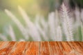 A wooden walk way or table on a blurry meadow Royalty Free Stock Photo