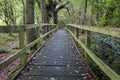 Wooden walk way through the woods.