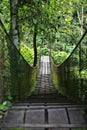 Wooden walking bridge