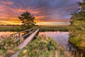 Wooden walking bridge at sunset