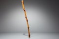 wooden walking cane active elderly having fun on a blue sky