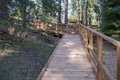 Wooden walking path in the forest. A newly constructed wooden trail for tourists. Royalty Free Stock Photo