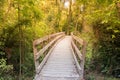 Wooden walking path leading to tropical rain forest Royalty Free Stock Photo