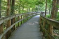 The wooden walking path by Mammoth Cave National Park near Kentucky, U.S