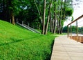 Wooden walking path with in well groomed green city park