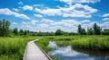 Wooden walking path through a swamp