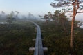 A wooden walking pathway on a hiking trail through an Estonian bog Royalty Free Stock Photo