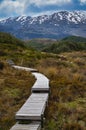 Wooden walking track on Mount Ruapehu, Tongariro National Park, New Zealand Royalty Free Stock Photo