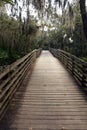 Wooden Walkway