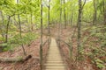 Wooden walkway Amicalola Falls State Park