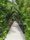 wooden walkway arch in a tropical garden Royalty Free Stock Photo