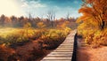 wooden walkway through the autumn forest suitable as a banner