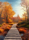 wooden walkway through the autumn forest suitable as a banner