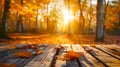 Autumn forest scenery with golden leaves and sunbeams. Peaceful wooden pathway in fall. Nature background for relaxation