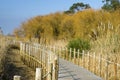 Wooden walkway Barrinha of Esmoriz nature reserve Royalty Free Stock Photo