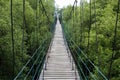 Wooden walkway bridge. Royalty Free Stock Photo