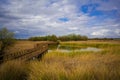 Wooden walkway bridge on the river, Tablas de Daimiel National Park, Spain Royalty Free Stock Photo