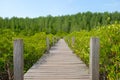 Wooden walkway bridge surrounded with Ceriops Tagal field in man