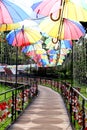 Wooden walkway with colorful umbrellas Royalty Free Stock Photo