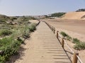 Wooden walkway in the dunes of Salir