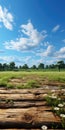 a wooden walkway in a field with trees and blue sky