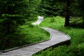 Wooden walkway in a nature reserve in a spruce forest in the mountains over a waterlogged peat bog, gray solid wood across 1m wide