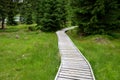 Wooden walkway in a nature reserve in a spruce forest in the mountains over a waterlogged peat bog, gray solid wood across 1m wide