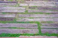 Wooden walkway in garden with green grass and leaves background