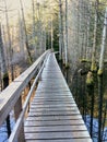 Wooden walkway on a hiking trail across a swamp lake. Smuggler Cove Marine Provincial Park, BC, Canada