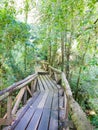 Wooden walkway in Huilo Huilo Biological Reserve, Los Rios Region, Chile Royalty Free Stock Photo