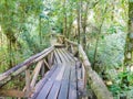 Wooden walkway in Huilo Huilo Biological Reserve, Los Rios Region, Chile Royalty Free Stock Photo